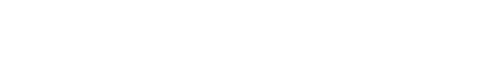 Netronic Logo